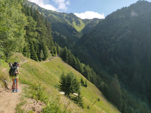 Clicca per vedere l'immagine alla massima grandezza