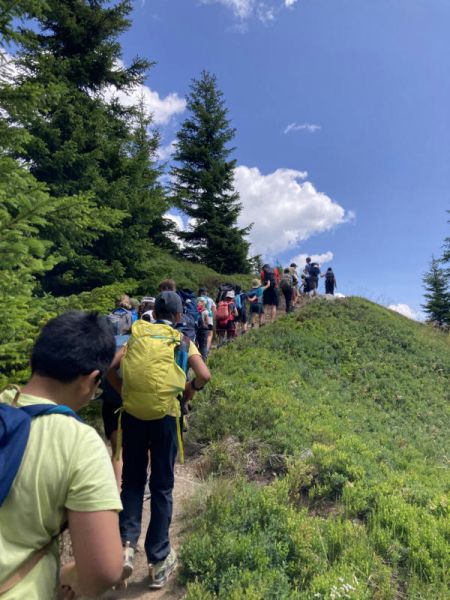 Clicca per vedere l'immagine alla massima grandezza