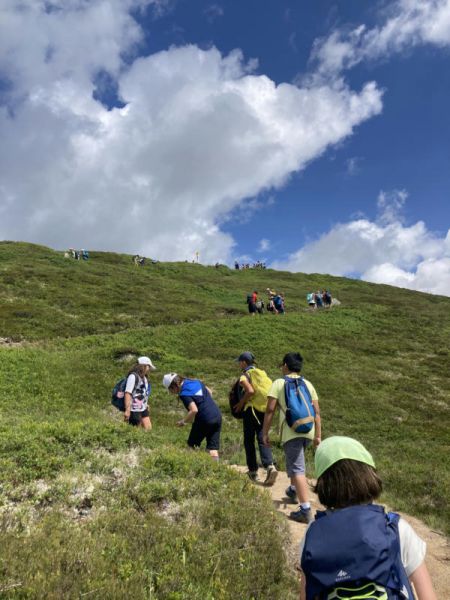 Clicca per vedere l'immagine alla massima grandezza