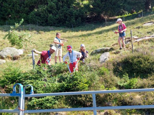 Clicca per vedere l'immagine alla massima grandezza