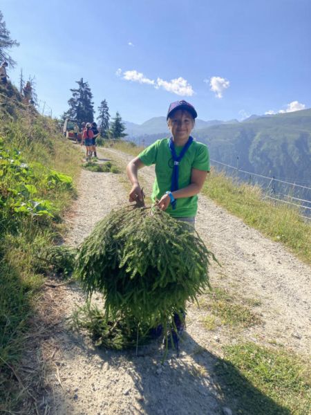Clicca per vedere l'immagine alla massima grandezza