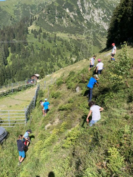 Clicca per vedere l'immagine alla massima grandezza