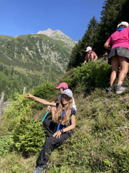 Clicca per vedere l'immagine alla massima grandezza