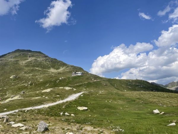 Clicca per vedere l'immagine alla massima grandezza
