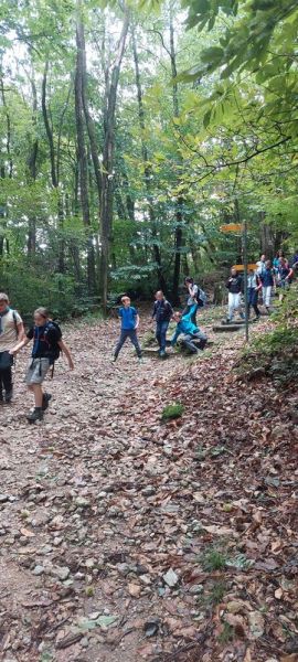 Clicca per vedere l'immagine alla massima grandezza