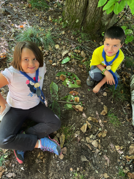 Clicca per vedere l'immagine alla massima grandezza