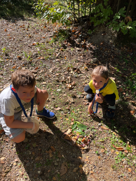 Clicca per vedere l'immagine alla massima grandezza