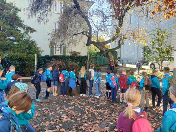 Clicca per vedere l'immagine alla massima grandezza