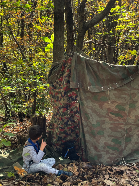 Clicca per vedere l'immagine alla massima grandezza