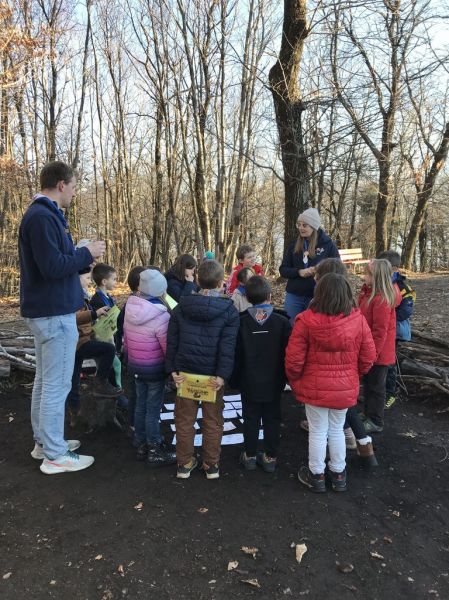 Clicca per vedere l'immagine alla massima grandezza