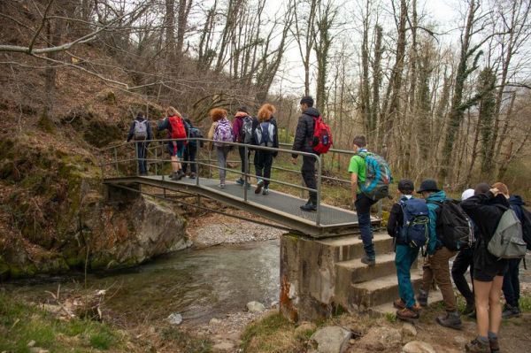 Clicca per vedere l'immagine alla massima grandezza