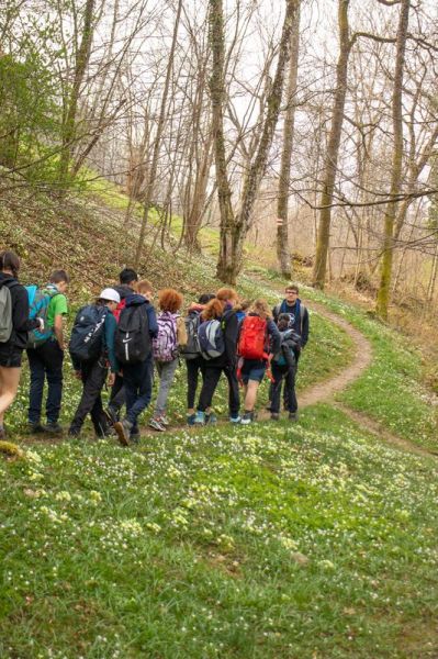 Clicca per vedere l'immagine alla massima grandezza
