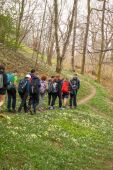 240323_ESPLO_PasseggiataInMalcantone_017.jpg