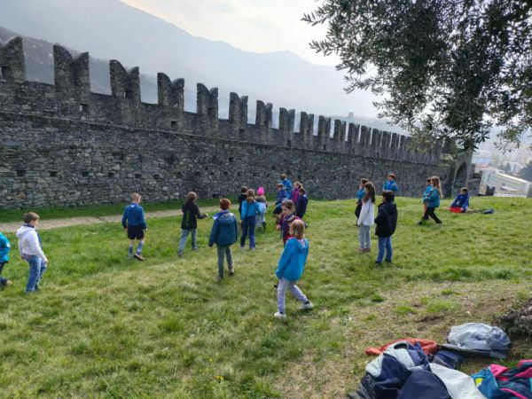 Clicca per vedere l'immagine alla massima grandezza