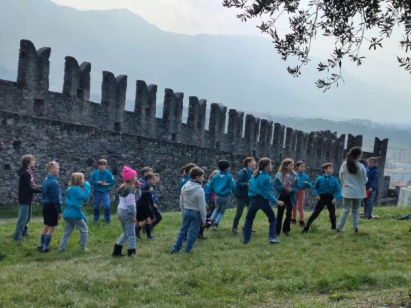 Clicca per vedere l'immagine alla massima grandezza