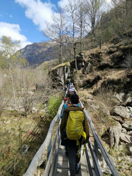 Clicca per vedere l'immagine alla massima grandezza