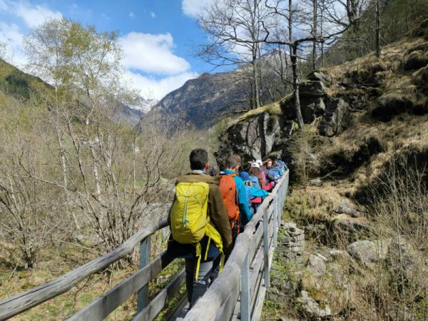 Clicca per vedere l'immagine alla massima grandezza