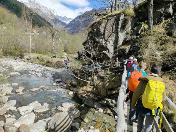 Clicca per vedere l'immagine alla massima grandezza