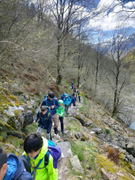 Clicca per vedere l'immagine alla massima grandezza