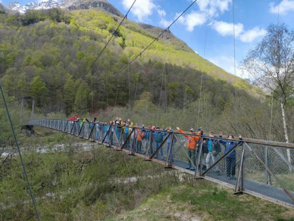 Clicca per vedere l'immagine alla massima grandezza
