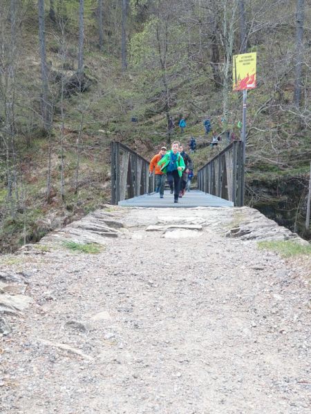 Clicca per vedere l'immagine alla massima grandezza