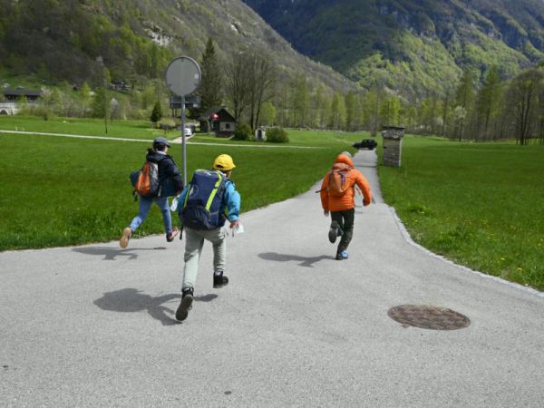 Clicca per vedere l'immagine alla massima grandezza