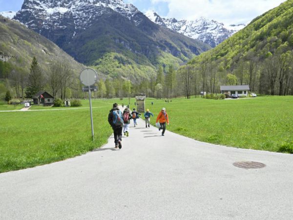 Clicca per vedere l'immagine alla massima grandezza