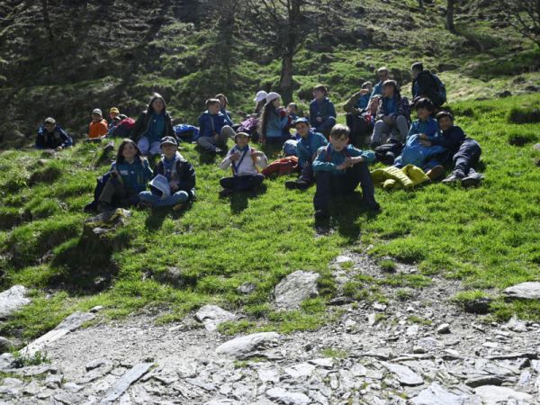 Clicca per vedere l'immagine alla massima grandezza
