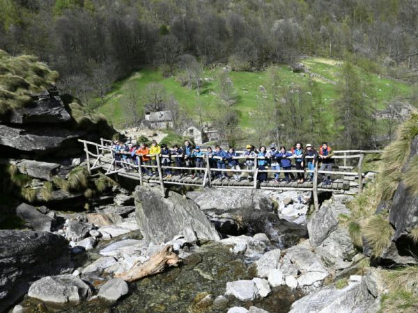 Clicca per vedere l'immagine alla massima grandezza