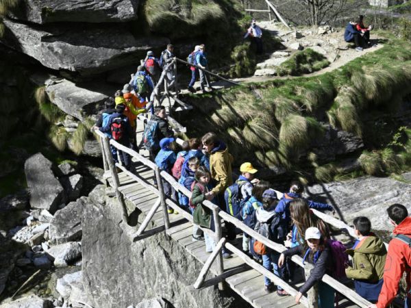 Clicca per vedere l'immagine alla massima grandezza