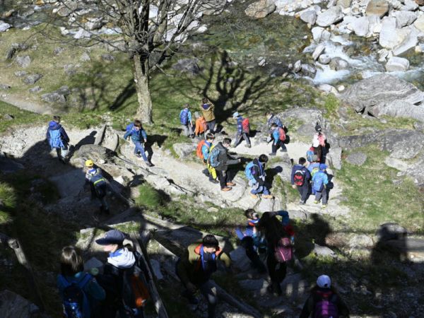 Clicca per vedere l'immagine alla massima grandezza