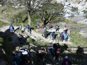 240420_LUPI_UscitaSonogno_026.JPG