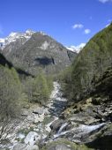 240420_LUPI_UscitaSonogno_027.JPG