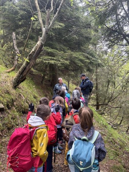 Clicca per vedere l'immagine alla massima grandezza