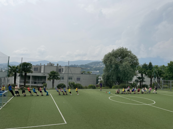 Clicca per vedere l'immagine alla massima grandezza