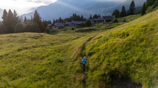 Clicca per vedere l'immagine alla massima grandezza
