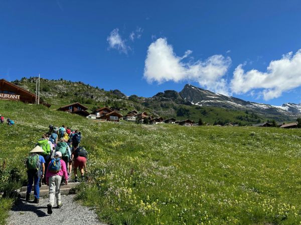 Clicca per vedere l'immagine alla massima grandezza