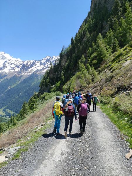 Clicca per vedere l'immagine alla massima grandezza