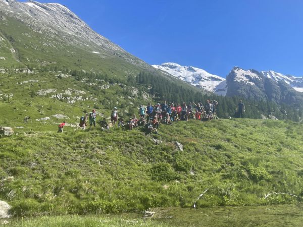 Clicca per vedere l'immagine alla massima grandezza