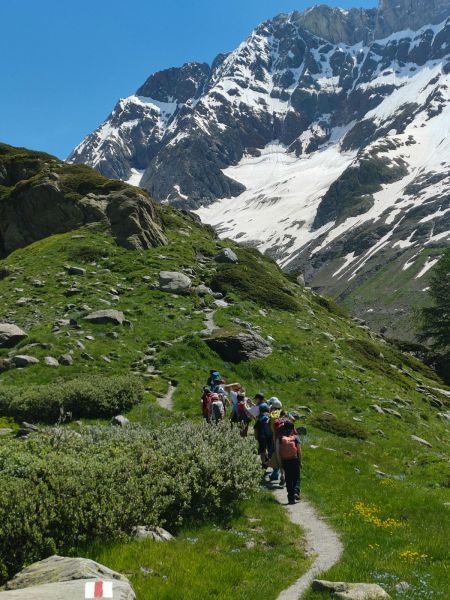 Clicca per vedere l'immagine alla massima grandezza