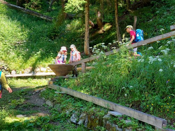 Clicca per vedere l'immagine alla massima grandezza