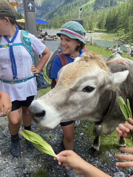 Clicca per vedere l'immagine alla massima grandezza