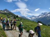 240630_LUPI_Campeggio_030.JPG