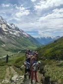 240630_LUPI_Campeggio_072.JPG