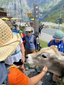 240630_LUPI_Campeggio_153.JPG