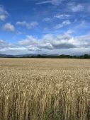 240630_PIO_Campo24_025.jpg