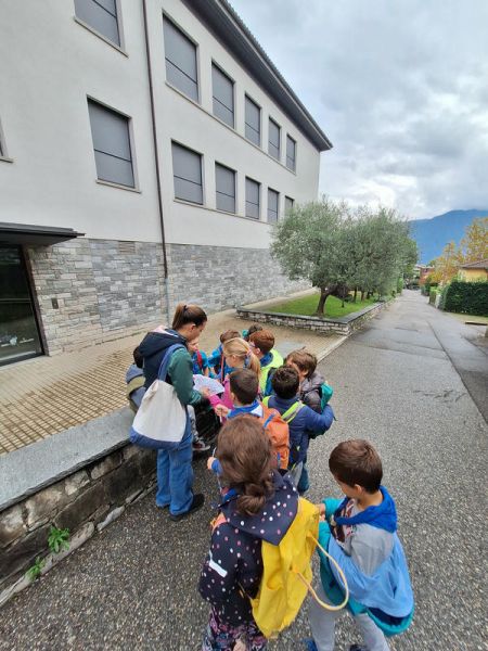 Clicca per vedere l'immagine alla massima grandezza