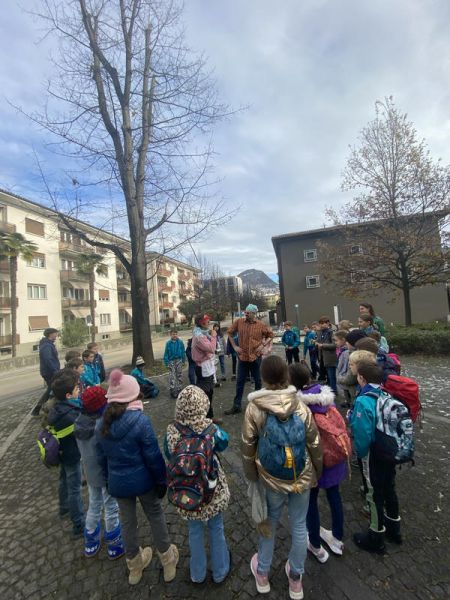 Clicca per vedere l'immagine alla massima grandezza