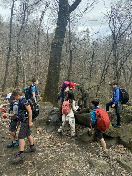 Clicca per vedere l'immagine alla massima grandezza