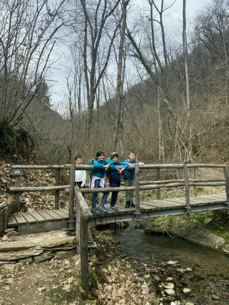 Clicca per vedere l'immagine alla massima grandezza
